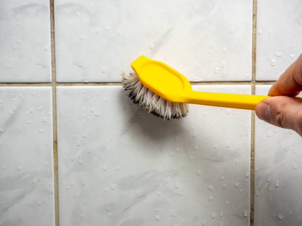 Best Affordable Mold Removal  in Delano, MN