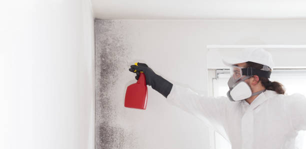 Best Crawl Space Mold Removal  in Delano, MN